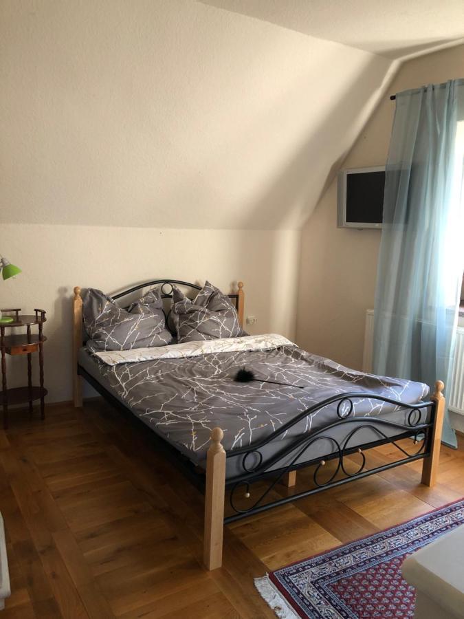 Ferienhaus Mit Pool Zum Traeumen Und Entspannen Fuer Alle Sinne Бад-Шмидеберг Экстерьер фото